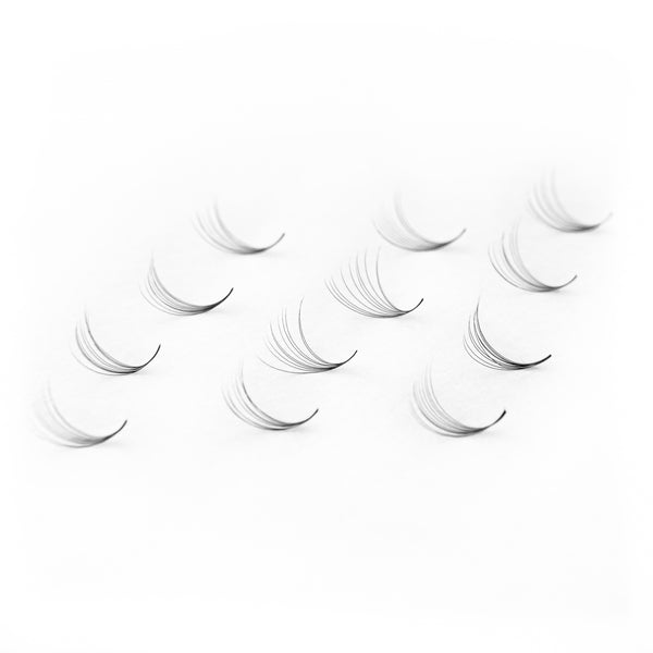 Promade Fan Box (Loose Lashes)