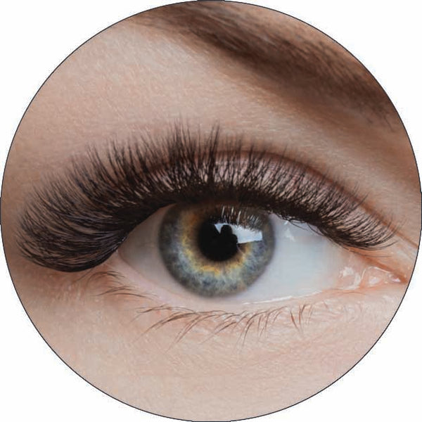 Hybrid Lashes - $105 (refill $50/$70)