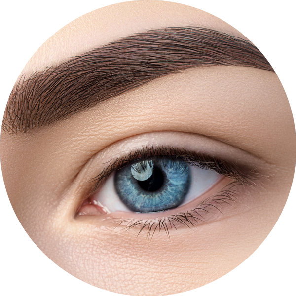 Microblading / Powder Brows- $299  (touch up at 6 weeks $50)